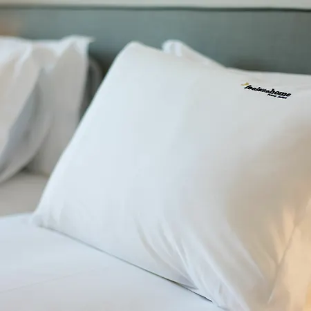 Feels Like Chiado Prime Bed & Breakfast Lisbon
